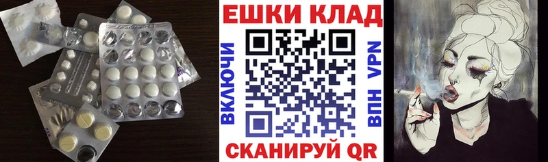 mega как зайти  купить закладку  Новошахтинск  ЭКСТАЗИ Philipp Plein 
