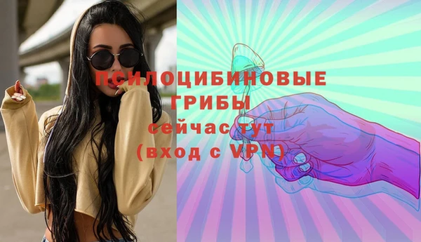 Альфа ПВП Алзамай