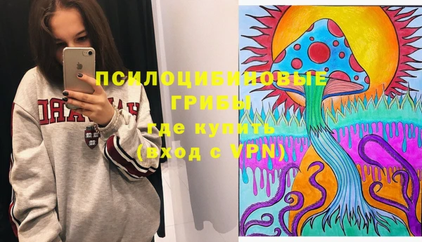 Альфа ПВП Алзамай
