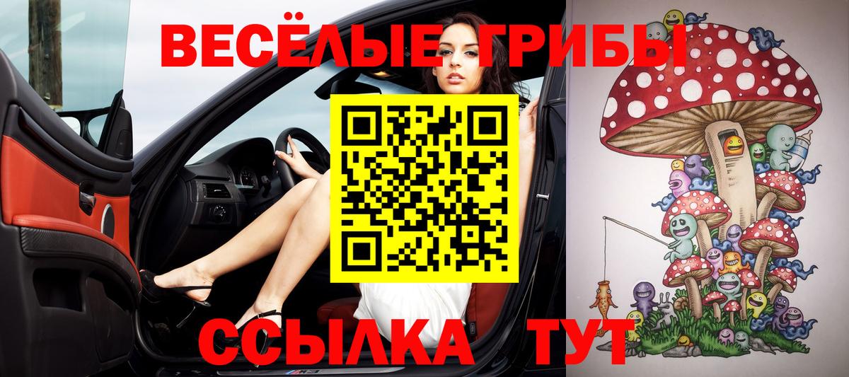 Новошахтинск  Галлюциногенные грибы Psilocybine cubensis  Вход с VPN 