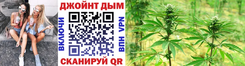 купить Новошахтинск Марихуана сатива
